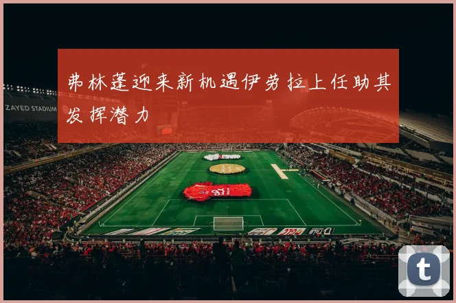 弗林蓬迎来新机遇伊劳拉上任助其发挥潜力